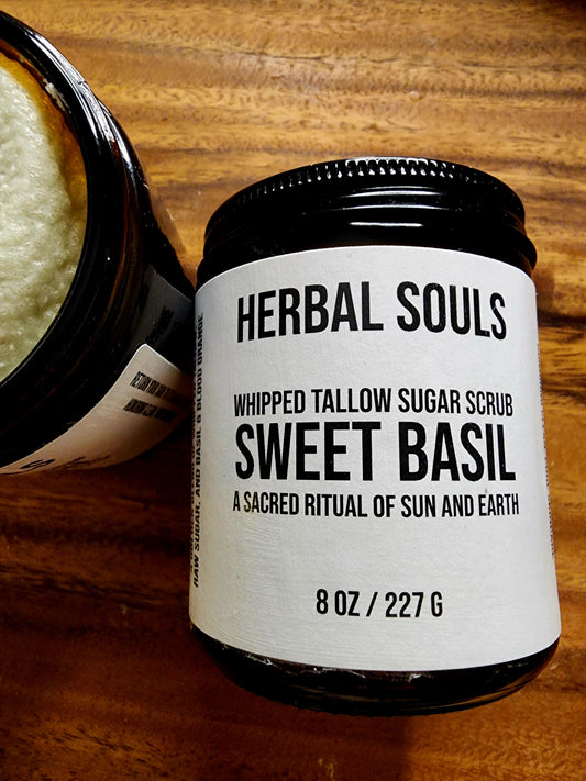 Sweet Basil 8 oz Whipped Tallow Sugar scrub
