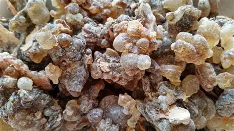 Frankincense Salt Scrub 9 oz